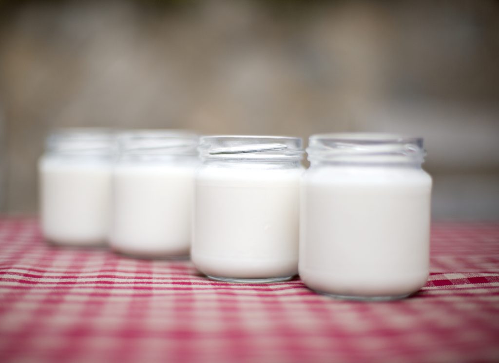 yogurt04