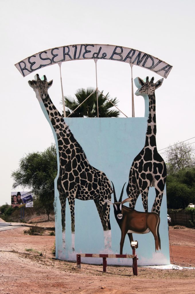 Senegal-3