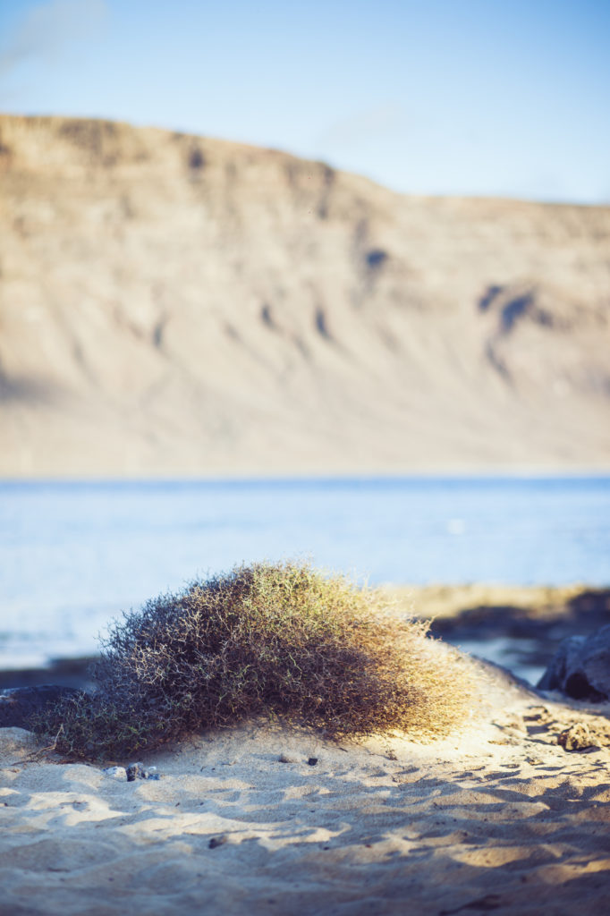 sendero_lagraciosa0001