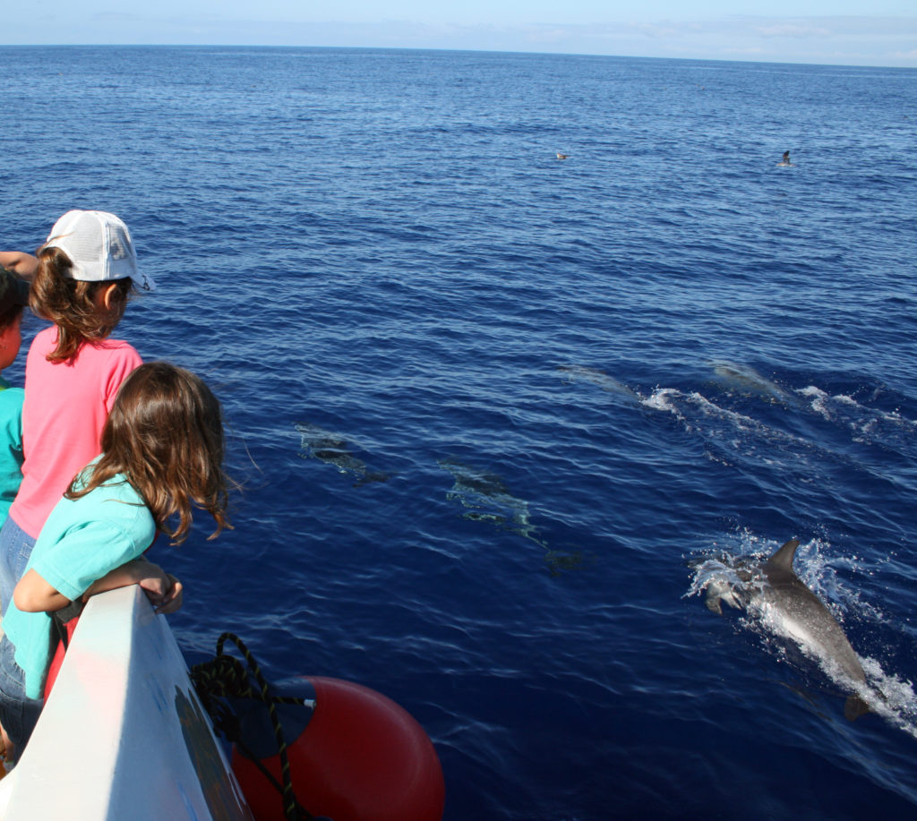 LaPalma_delfin niños-Consej.MAmb