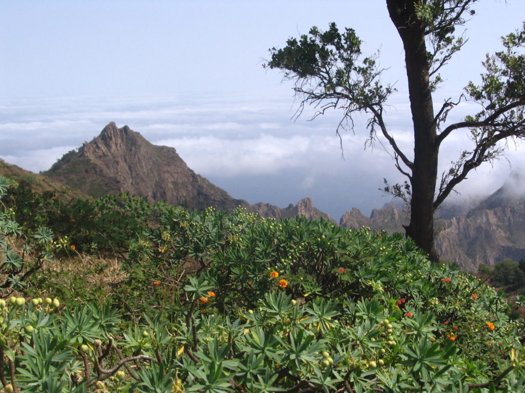 Monte Gordo - Ribeira Brava - São Nicolau