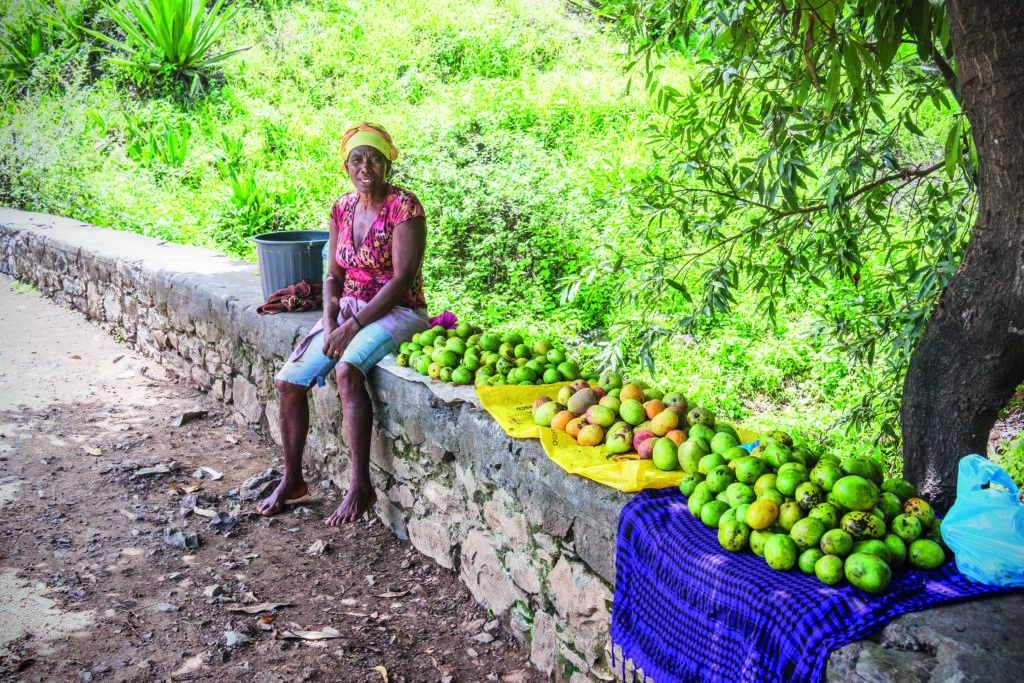 Rabelados Santiago Pico