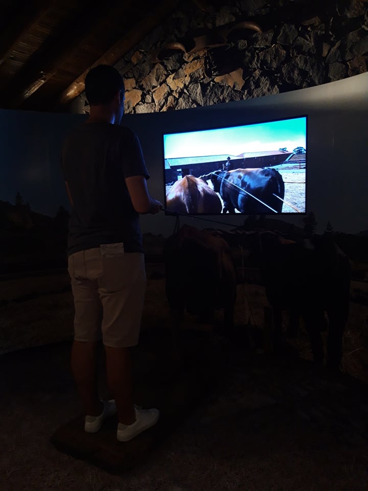 Ecomuseo interactivo la guancha